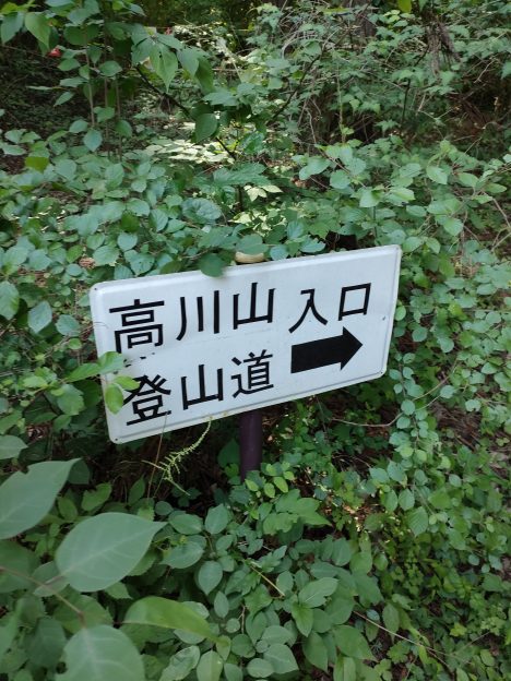 高川山 登山口 入口 標識