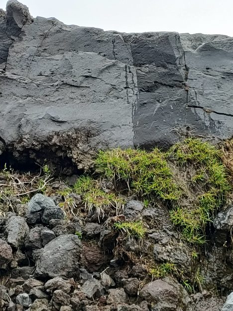 この時期だけの幻の滝