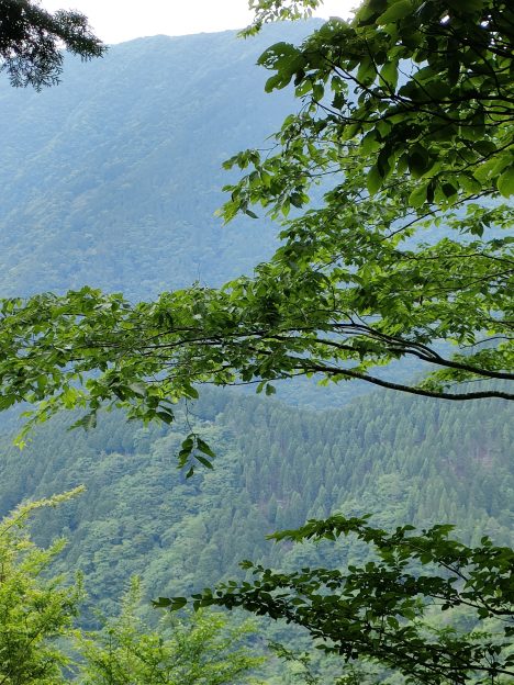 鍋割山からの景色