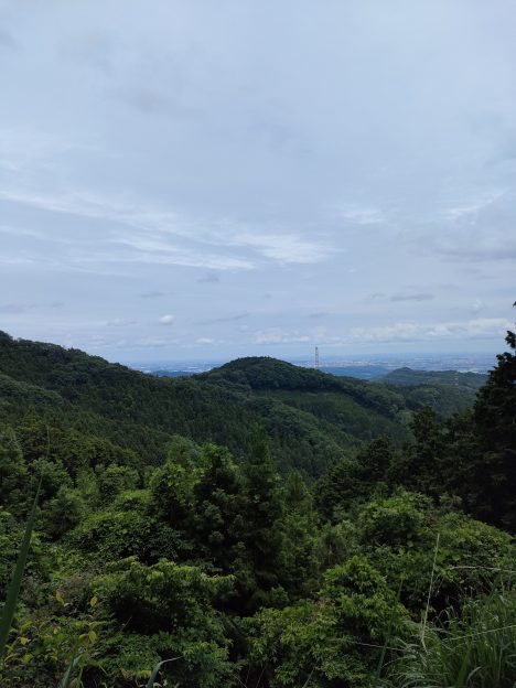 山頂からの景色