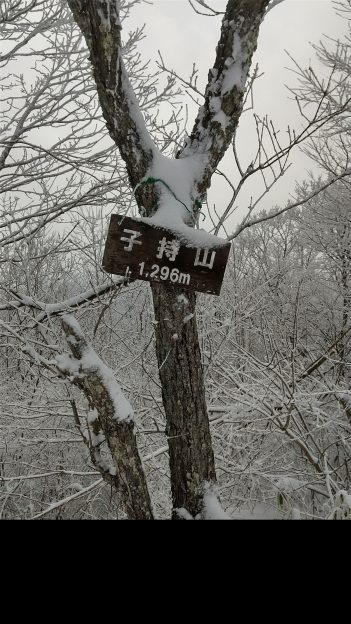 木製の小さめの子持山山頂標識が木に括りつけられている　少し雪がつもっている