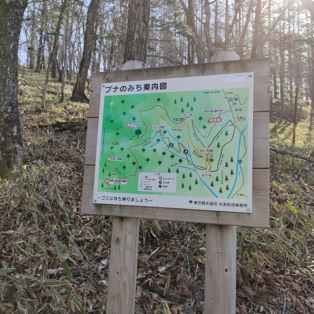 ぶなの道案内図と記載された標識山頂の木製標識