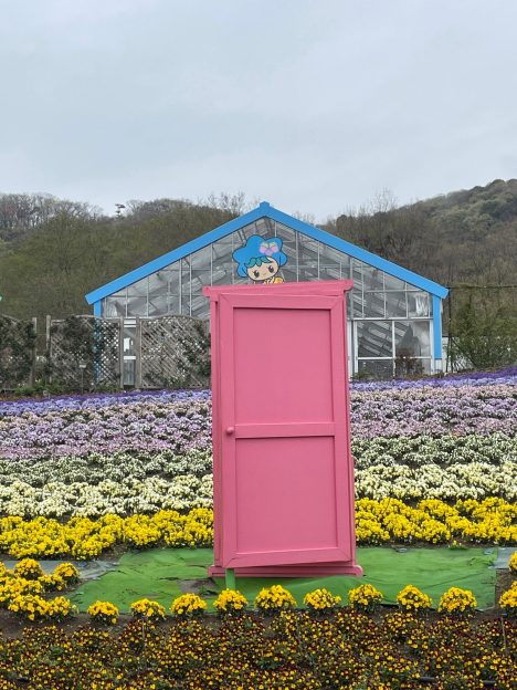 お花畑のピンク色のどこでもドア　