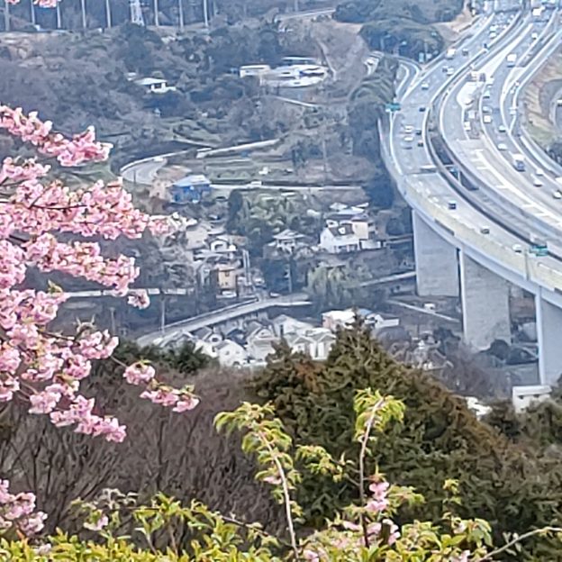 桜と高速道路と街並み