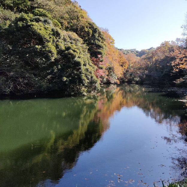 秋の鎌倉湖